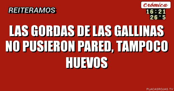 Las gordas de las gallinas no pusieron pared, tampoco huevos