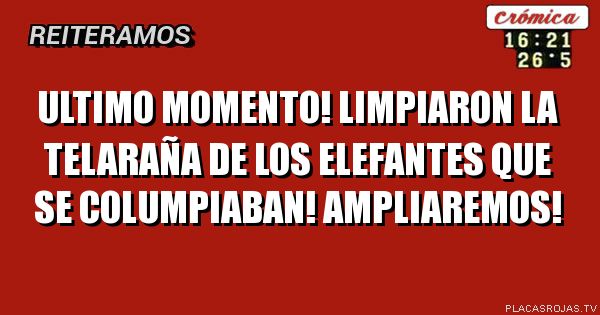 Ultimo momento!
Limpiaron la telaraña de los elefantes que se columpiaban!
ampliaremos!