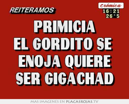 primicia el gordito se enoja quiere ser gigachad