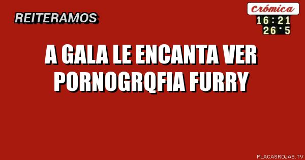 A gala le encanta ver pornogrqfia furry