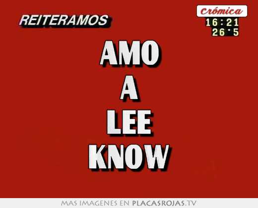 amo a lee know