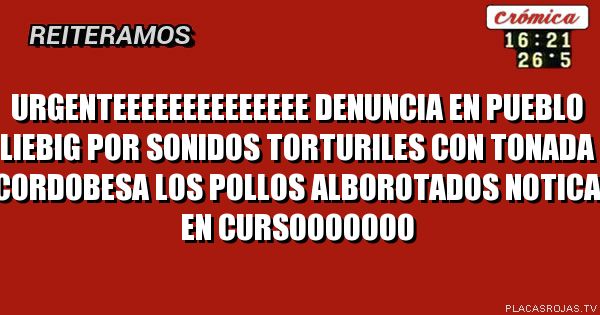 URGENTEEeeeeeeeeeeee
Denuncia en pueblo Liebig
Por sonidos torturiles con tonada cordobesa
Los pollos alborotados
Notica en cursooooooo