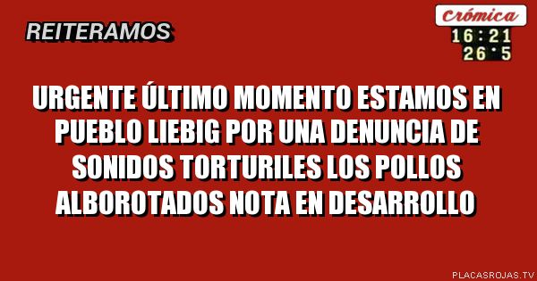 Urgente
Último momento
Estamos en pueblo Liebig por una denuncia de sonidos torturiles
Los pollos alborotados
Nota en desarrollo