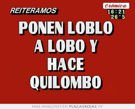 ponen loblo a lobo y hace quilombo